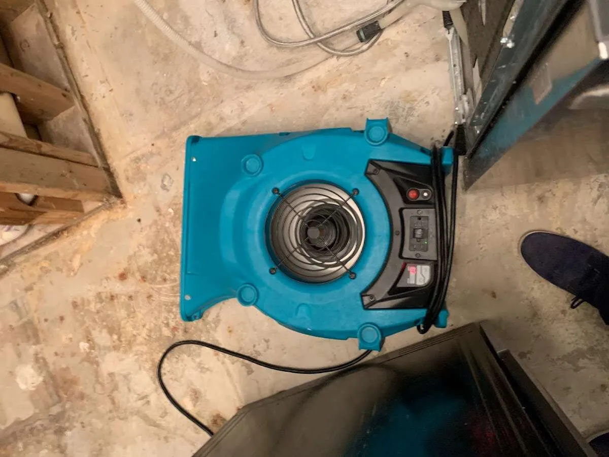 Air mover drying equipment for Mold Remediation & Removal in Collingswood
