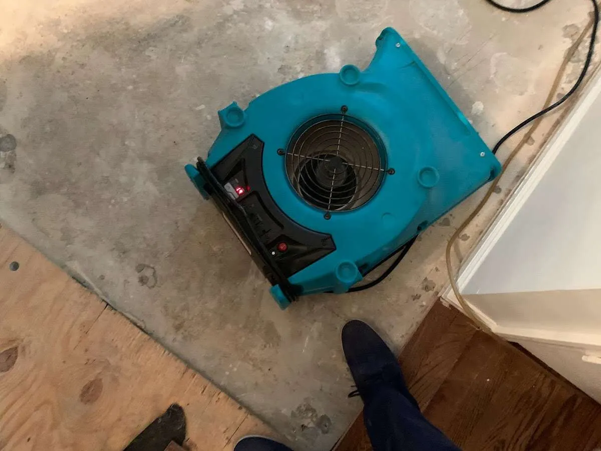 Air mover drying subfloor during Commercial Water Damage Restoration in Collingswood